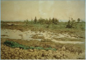 転がる石、水、茂み 作： Theodor Kittelsen