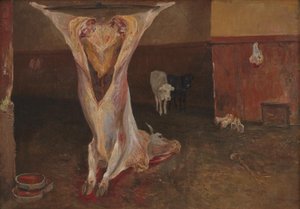 牛の死体。 ローマ