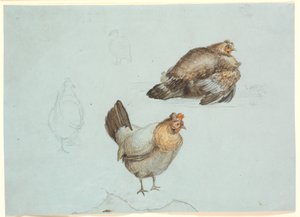 ニワトリ。 勉強 作： Theodor Philipsen
