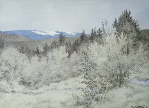 遥か彼方の森で 作： Theodor Kittelsen