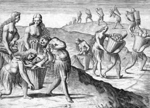 ティムクア・インディアン部族 作： Theodor de Bry