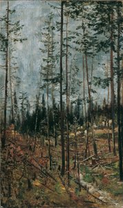 Waldschlag bei Gödöllö 作： Theodor von Hormann