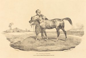 アラビアの馬 作： Theodore Gericault