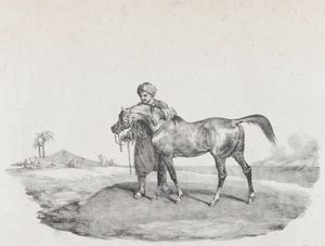アラビア馬、1821年 作： Theodore Gericault