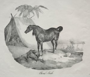 アラブの馬 作： Theodore Gericault