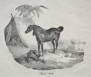 アラビア馬 作： Theodore Gericault