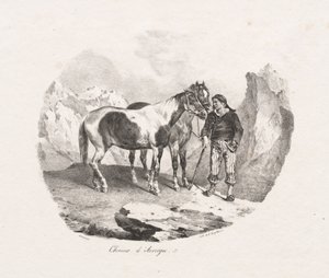 オーヴェルニュ馬 作： Theodore Gericault