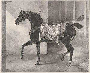 厩舎に繋ぎ止められた黒い馬 作： Theodore Gericault