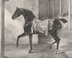馬小屋につながれた黒い馬、1822年。 作： Theodore Gericault