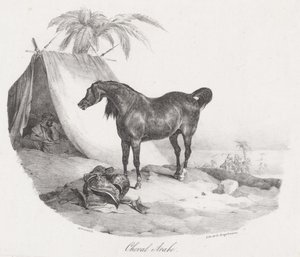 アラビア馬（An Arabian Horse） 作： Theodore Gericault