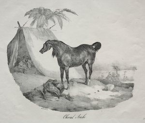 アラビアの馬。 作： Theodore Gericault