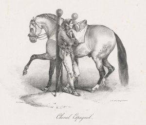 スペインの馬（A Spanish Horse）