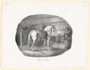 ハノーバー種（A Hanoverian Horse）