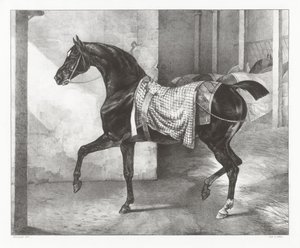  作： Theodore Gericault