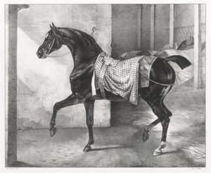 作： Theodore Gericault