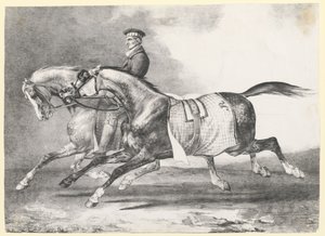 散歩させられている2頭のダップルグレーの馬（『Two Dapple-Grays Being Exercised』） 作： Theodore Gericault
