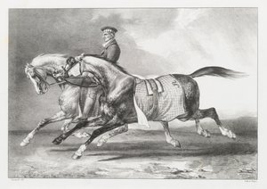  作： Theodore Gericault