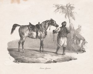 エジプト牝馬 作： Theodore Gericault