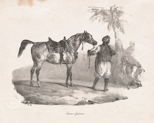 エジプト馬、1822年。 作： Theodore Gericault