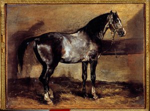 ラテリエの灰色の馬 セオドア・ジェリコー（1791-1824）の絵画 19世紀 日0,26x0,34 m 作： Theodore Gericault