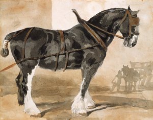 利用された黒い馬 作： Theodore Gericault