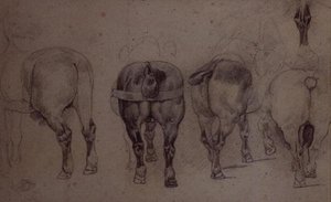 ハーネス付きの馬（鉛筆 作： Theodore Gericault