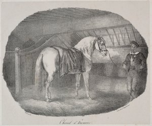 ハノーバーの馬 作： Theodore Gericault