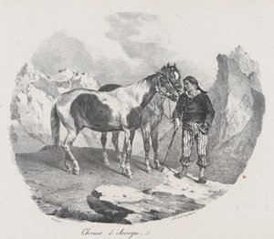 オーヴェルニュの馬、1822年。 作： Theodore Gericault
