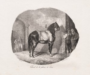 馬のリトグラフ研究: Pl。 7、カーン平原の馬 作： Theodore Gericault