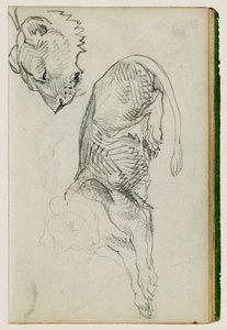 座るライオン、雌ライオンの頭 作： Theodore Gericault