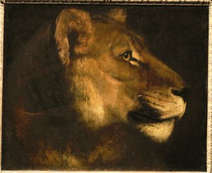 テテ・ド・ライオンヌ雌ライオンの頭... 作： セオドア・ジェリコー