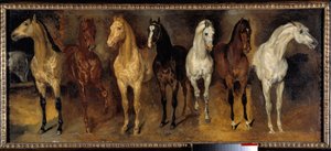 乳房 正面から見た七頭の馬。テオドール・ジェリコー（1791-1824）の絵画 19世紀 日。0,39x0,94 m 個人蔵 - 7頭の馬の胸部（正面から）。セオドア・ジェリコー（1791-1824）作の絵画 作： セオドア・ジェリコー
