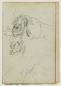 つのライオン研究 作： Theodore Gericault
