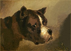 ブルドッグの頭 作： Theodore Gericault