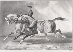  作： Theodore Gericault