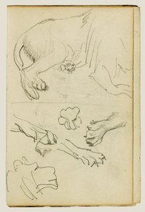 ライオンの脚、前足、頭部の様々な研究 作： Theodore Gericault