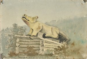 インドの墓。 ウルフ トーテム オーバー メディスン マン グレイブ、ランゲル、カリフォルニア州。 1880～1914年。 作： Theodore J. Richardson