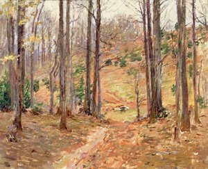 バージニアウッズ、1893 作： Theodore Robinson
