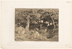 岩の上の樫の木 シェネス・ド・ロッシュ（原題） 作： Theodore Rousseau