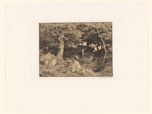 岩の上の樫の木 シェネス・ド・ロッシュ（原題） 作： Theodore Rousseau
