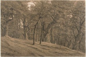 フォンテーヌブローの森にて 作： Theodore Rousseau