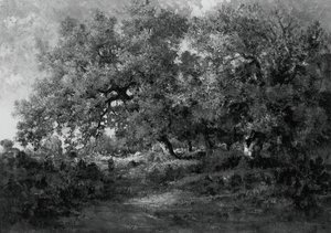風景、c。 1860年。 作： Theodore Rousseau
