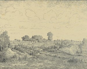 ビアウのラ・プランテ平野 作： Theodore Rousseau