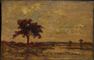湿原、年代不詳（油彩、木製パネル） 作： Theodore Rousseau