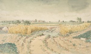 ウィートフィールズ、1865年。 作： Theodore Rousseau