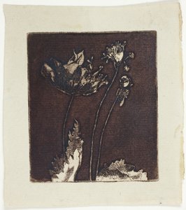 ラストポピー 作： Theodore Roussel