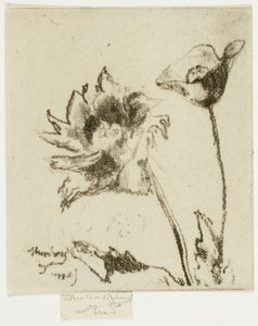 Two Flowers   1277191   ja       japanese Successfully Translated  Original: Christus aan het kruis Serie van Ecce Homo, de gekruisigde Christus, Maagd Maria en Johannes de Evangelist Translat: Christus aan het kruis Serie van Ecce Homo, de gekruisigde Chr 作： Theodore Roussel