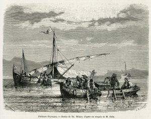 ナフプリオ湾のカジキたち、Th.Weberの絵。ウェーバーが描いたもので、アンリ・ベルが1861年、1868年、1874年に行ったギリシャ旅行の物語を説明するためのものです。Le tour du monde』に掲載されている図版