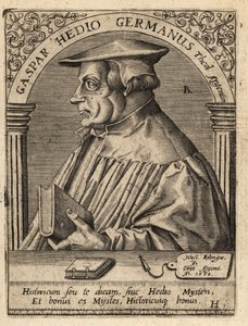 カスパー・ヘディオ 作： Theodore de Bry