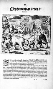象の戦い、1606 作： Theodore de Bry
